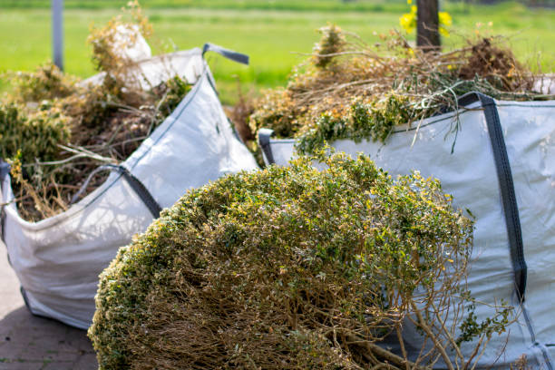 Best Electronics and E-Waste Disposal  in South Creek, WA